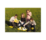 Комплект лабораторного оборудования "ЭкоЛаб" Cornelsen