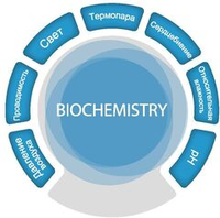 Цифровая лаборатория SenseDisс – Биология и Химия (Biochemistry)