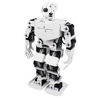 Набор для изучения систем управления робототехническими комплексами и андроидными роботами "Серёжа ИН". Базовый комплект на Raspbery Pi
