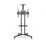 Мобильная напольная стойка Wize Pro M55 для дисплеев размера 32"– 65"