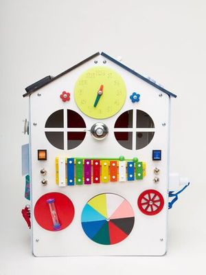 Бизидом «Будущий ученый» Приоритет