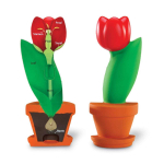 Развивающая игрушка "Цветок модель в сечении" (демонстрационный материал из мягкой пены, 15см., 1 элемент) Learning Resources LER1905