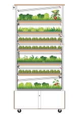 Гидропонные установки серии «Конструктор»