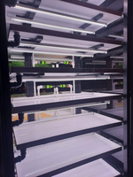 Цифровая ситиферма для выращивания микрозелени Greenbar ПАК MZ_PRO-16