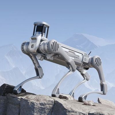 Бионический четырехопорный робот Unitree B2