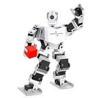 Набор для изучения систем управления робототехническими комплексами и андроидными роботами "Серёжа ИН Про". Полный комплект на Raspbery Pi