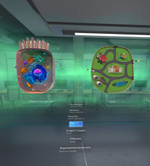 Биология «Цитология VR» 5-11 класс Модум Лаб