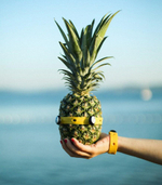 Игровой набор Toyi "Basic 80 Building Kit"