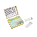 Микропрепараты Ботаника и Зоология Микромед (14 обр.)