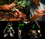 3D принтер Anycubic Photon Mono M5s