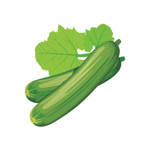 Карточки для знакомства с лексической темой Растения "Ботанический сад"