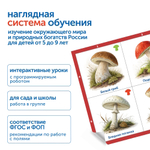 Модуль "Деревья, цветы, грибы России" Learning Resources MS0102/1