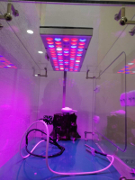 Детская биолаборатория "Умная грядка" Мироника