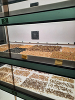 Витрина Greenbar MZ-4 ПАК для выращивания микрозелени