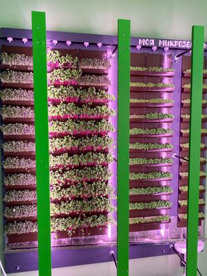 Вертикальная ферма 