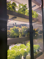 Ситиферма Greenbar LUX-5 ПАК для выращивания зелени, пряных трав