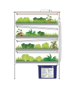 Гидропонные установки серии «Эконом»