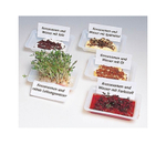 Комплект лабораторного оборудования "От зародыша до взрослого организма" Cornelsen