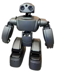 Программируемый человекоподобный робот ADAM, Компактная комплектация