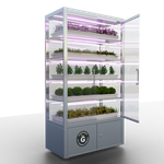 Ситиферма Greenbar LUX-5 ПАК для выращивания зелени, пряных трав