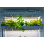 Гидропонная ферма «Настенная» + комплект наборов, приборов, расходных материалов для проведения занятий на 1 учебный год