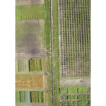 MicroPilot MP-Vision UAV Glider