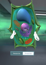 Биология «Цитология VR» 5-11 класс Модум Лаб