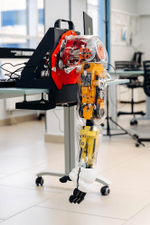 Комплект для изучения робототехники Promobot Rooky