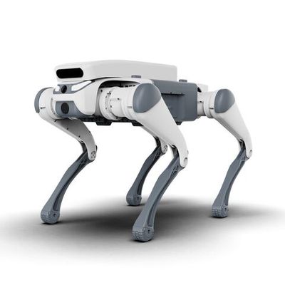 Бионический четырехопорный робот DeepRobotics Lite3 Pro