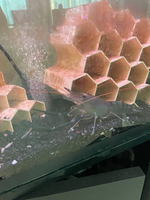 AQUABOX ED (дополнительный модуль для ECOBOX ED)