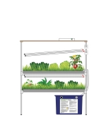 Гидропонные установки серии «Эконом»