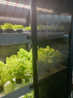 Ситиферма Greenbar LUX-5 ПАК для выращивания зелени, пряных трав