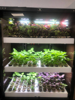 Ситиферма Greenbar- LUX4 ПАК для выращивания зелени и пряных травтрав