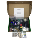 Комплект оборудования для занимательных опытов «Начальная школа» Christmas