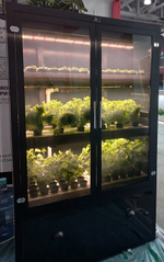 Ситиферма Greenbar- LUX3 ПАК для выращивания зелени и пряных трав