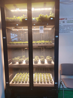 Ситиферма Greenbar- LUX4 ПАК для выращивания зелени и пряных травтрав