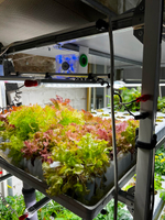 Гидропонные установки серии «Конструктор»