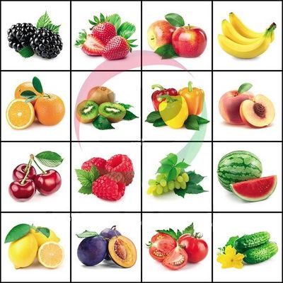 Тематическое поле-маршрутизатор 