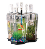 Набор "Экосистема" PASCO