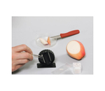 Комплект лабораторного оборудования "Биология. Основы биологического практикума" Cornelsen