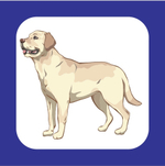 Карточки для автоматизации свистящих и шипящих звуков "Трудные звуки 2"