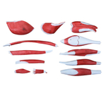 Анатомическая модель мышц ноги человека, 13 деталей XC-337