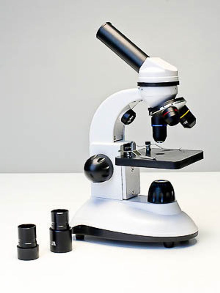 Микроскоп школьный (с подсветкой) Строникум