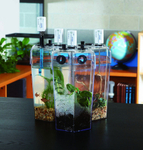 Комплект датчиков PASCO по биологии и экологии для учителя