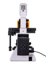 Микроскоп люминесцентный инвертированный цифровой MAGUS Lum VD500