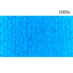 Цифровой микроскоп Микмед LCD 1000Х 2.0LB