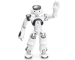 Человекоподобный робот NAO 6