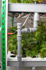 Гидропонные установки серии «Конструктор»