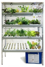 Гидропонные установки серии «Эконом»