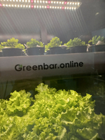 Ситиферма Greenbar LUX-5 ПАК для выращивания зелени, пряных трав